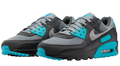 Nike Air Max 90 'Cool Grey / Dusty Cactus / Black' (DM0029-013)