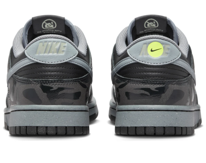 Nike Dunk Low 'Berlin' (FZ3053-001)